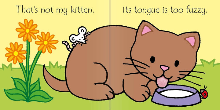 That's Not My Kitten...