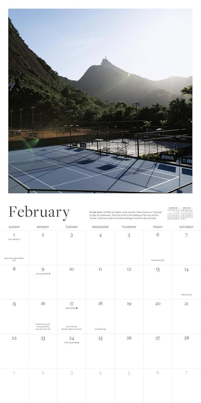 Wall Calendar 2026: Tennis Courts