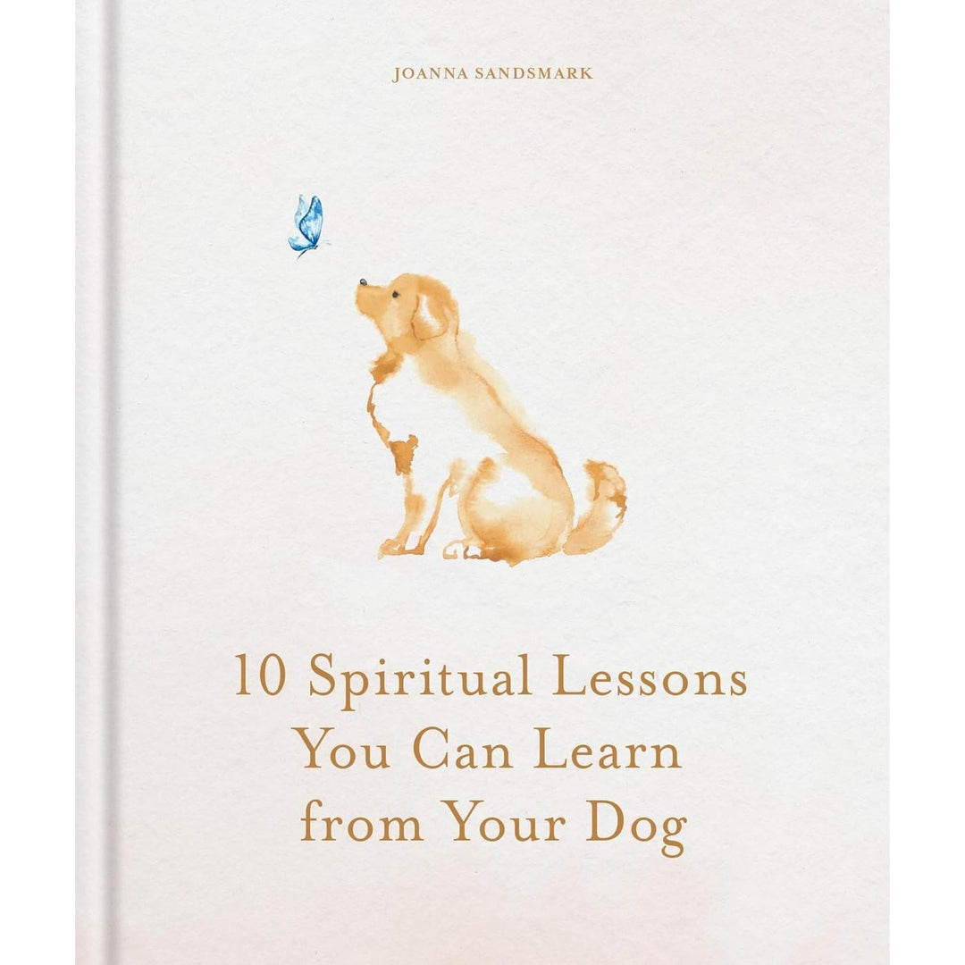 10 Spiritual Lessons You Can Learn From Your Dog - Just Fabulous Palm Springs