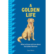 A Golden Life: What To Know And Love About The Golden Retriever - Just Fabulous Palm Springs