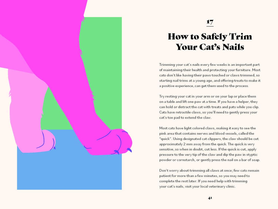 The Ultimate Guidebook For Cat Owners