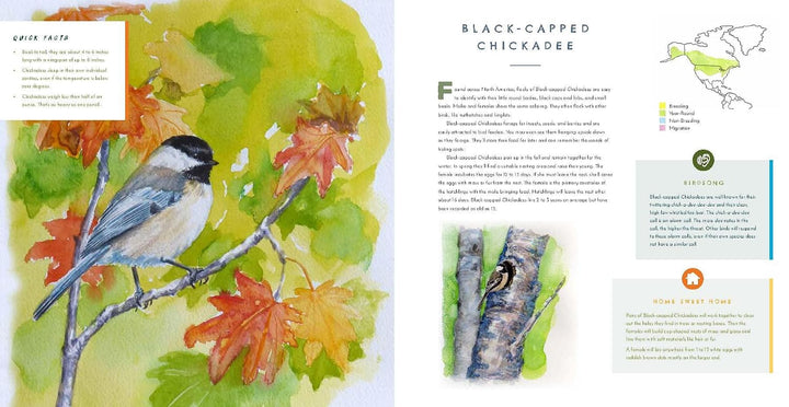 Hear Them Sing: A Kid's Book of North American Bird Songs and Calls