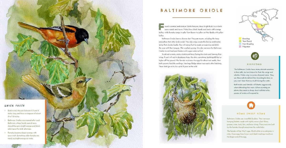 Hear Them Sing: A Kid's Book of North American Bird Songs and Calls