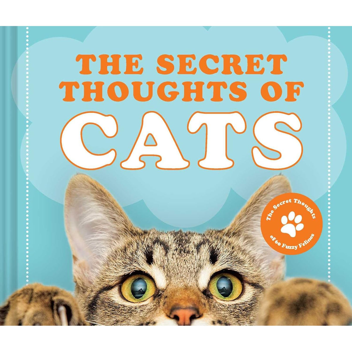 Secret Thoughts Of Cats