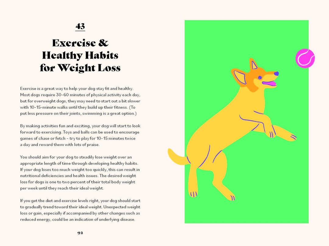 The Ultimate Guidebook For Dog Owners