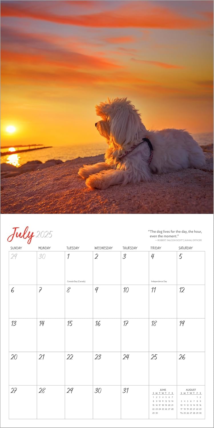 Dogs On Vacation Wall Calendar 2025