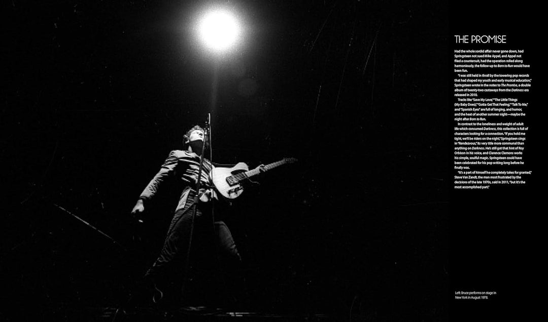 Springsteen: Album By Album