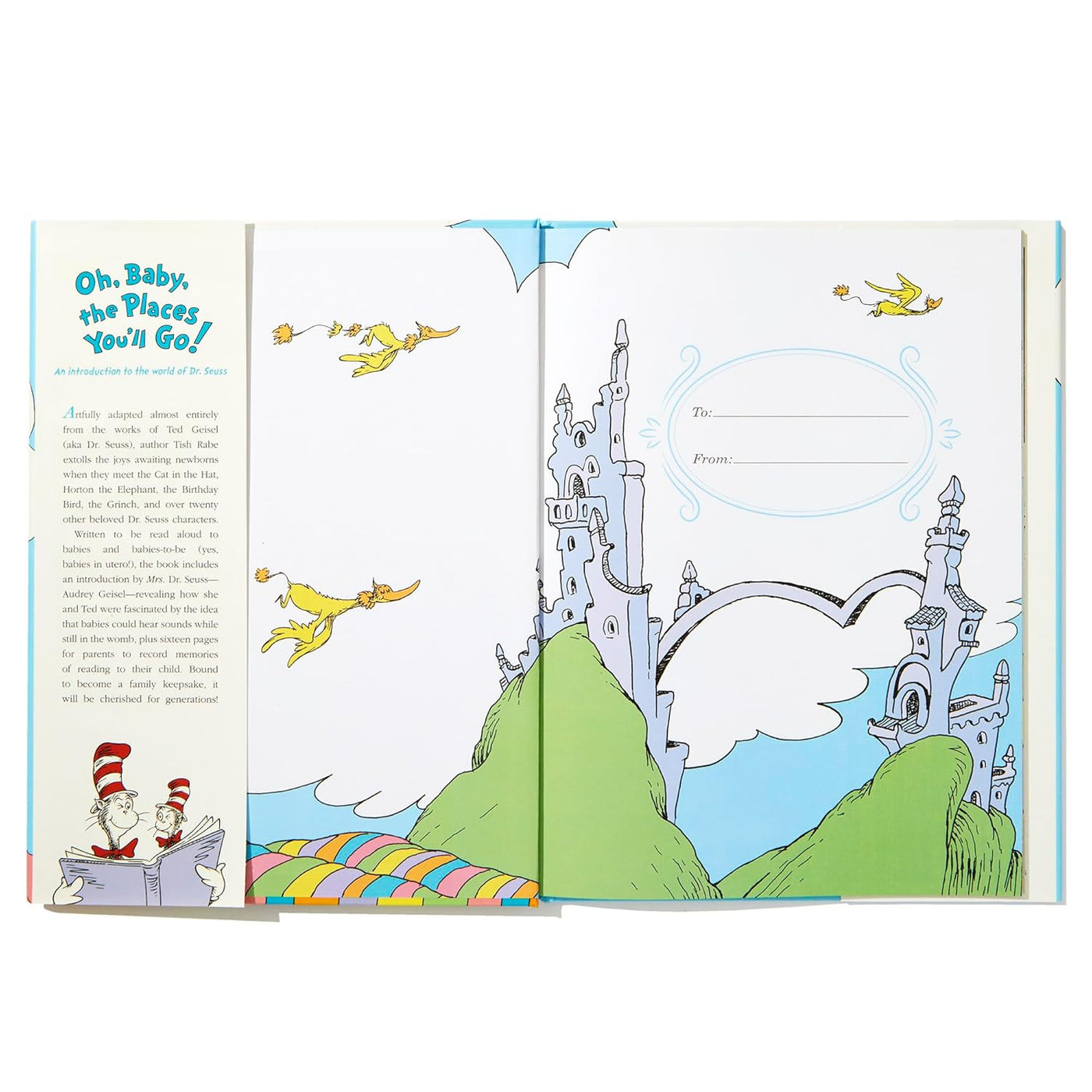Oh, Baby, The Places You'll Go Gift Edition