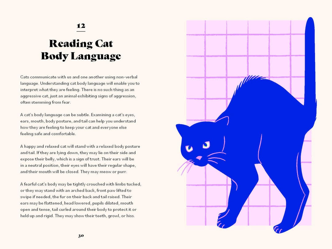 The Ultimate Guidebook For Cat Owners