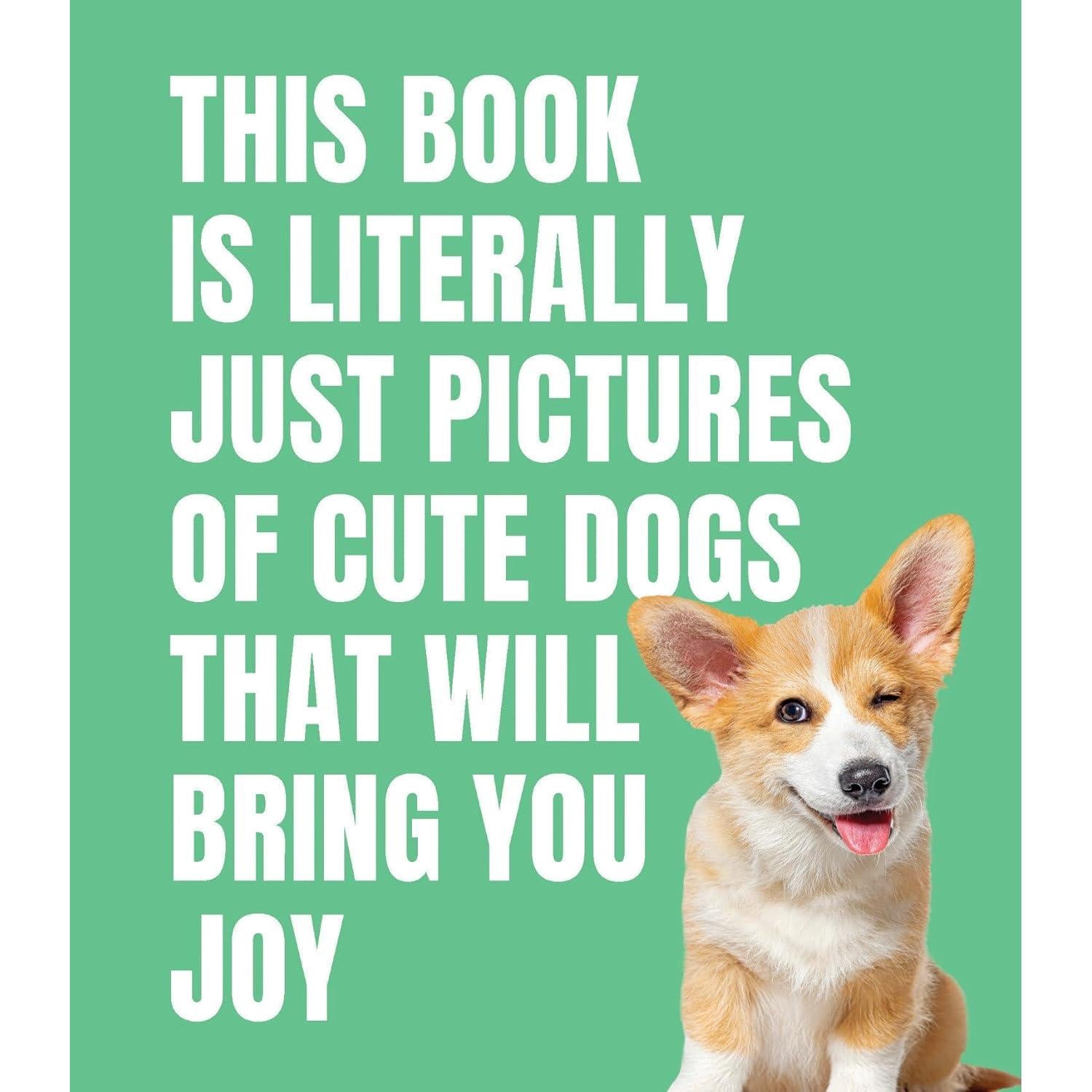 This Book Is Literally Just Pictures Of Cute Dogs That Will Bring You Joy