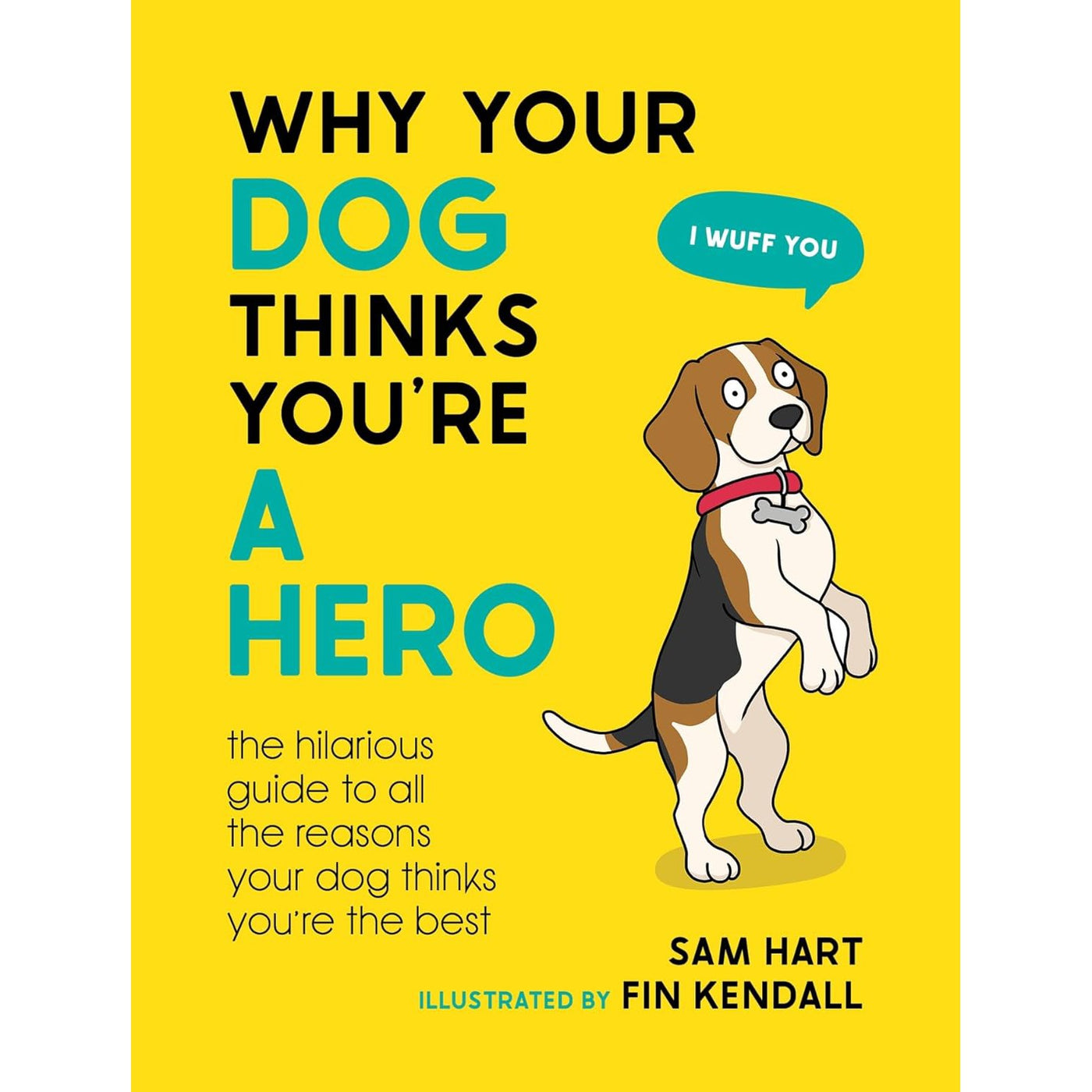 Why Your Dog Thinks You're A Hero