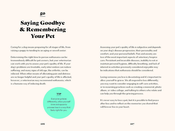 The Ultimate Guidebook For Dog Owners