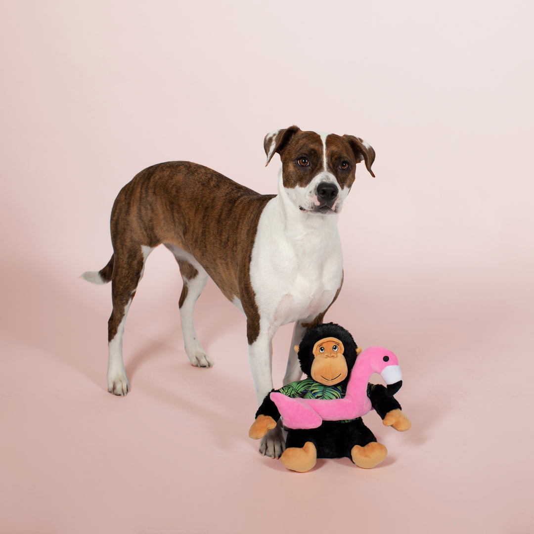 Gregory The Gorilla Plush Dog Toy - Just Fabulous Palm Springs