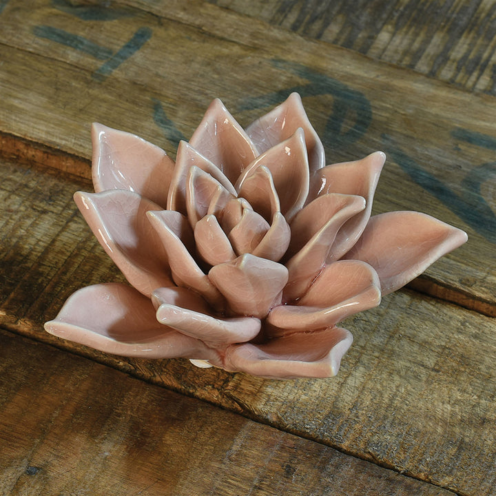 Ceramic Succulent - Blush