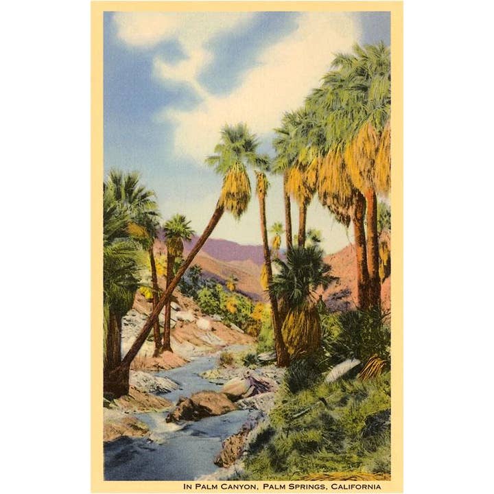 Creek Through Palm Canyon Palm Springs Postcard - Just Fabulous Palm Springs