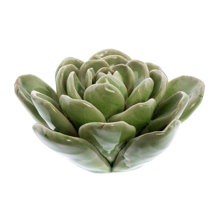 Ceramic Succulent - Large