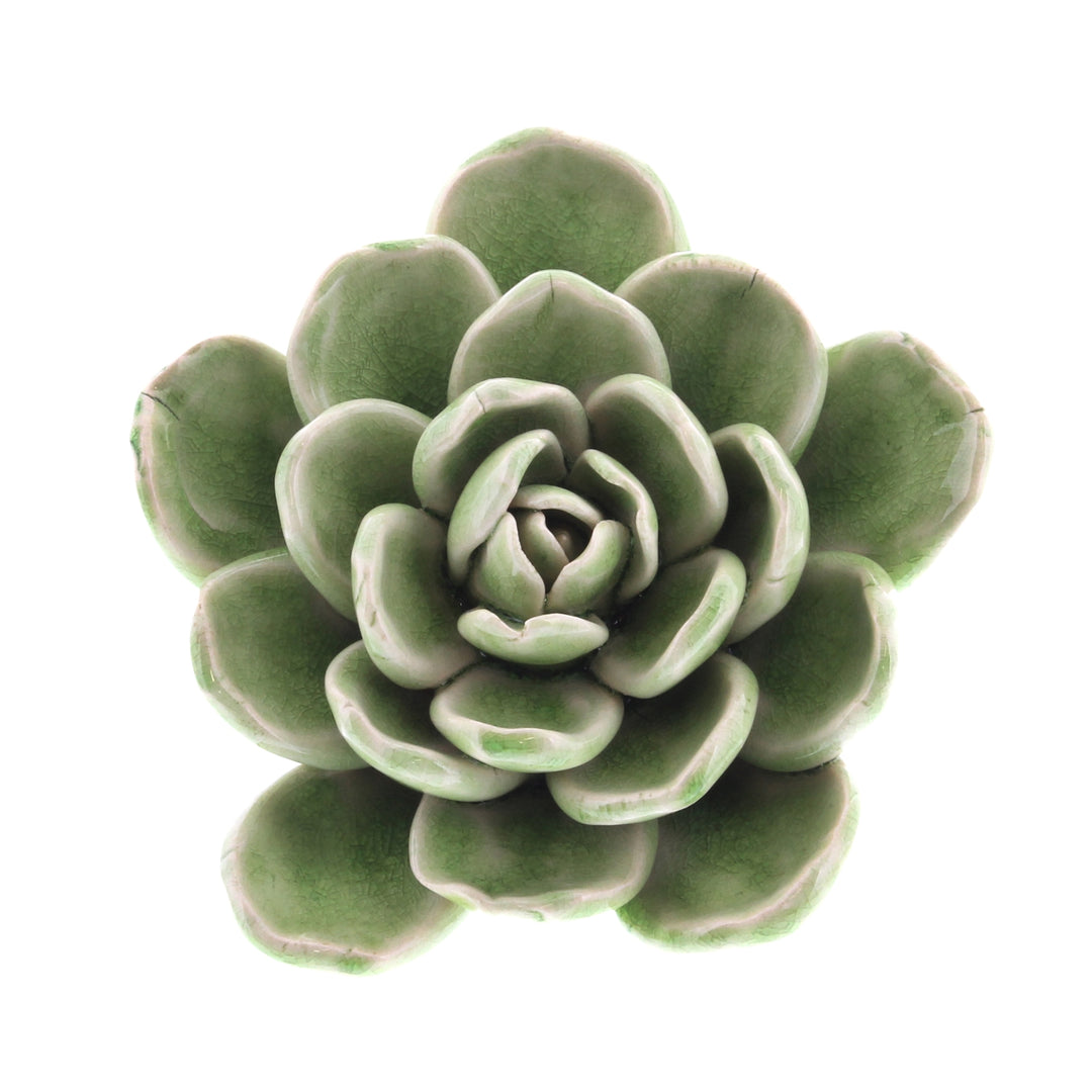 Ceramic Succulent - Large