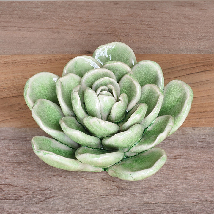 Ceramic Succulent - Large
