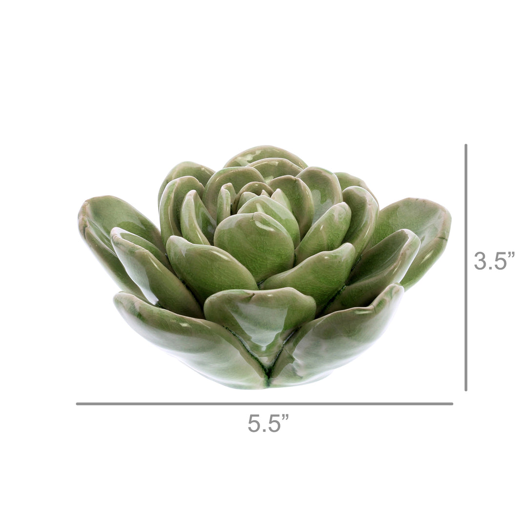Ceramic Succulent - Large