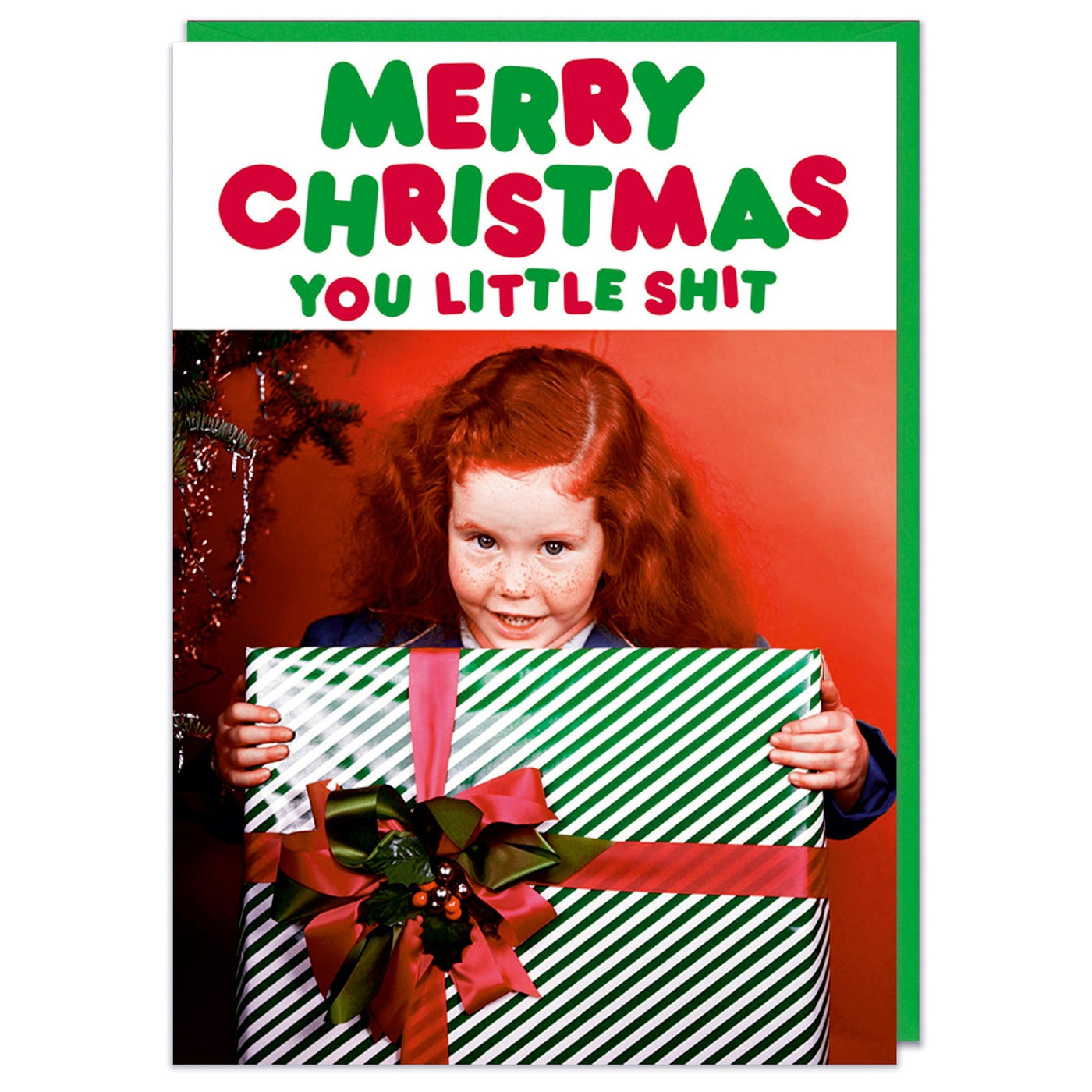 You Little Sh*T Christmas Holiday Card