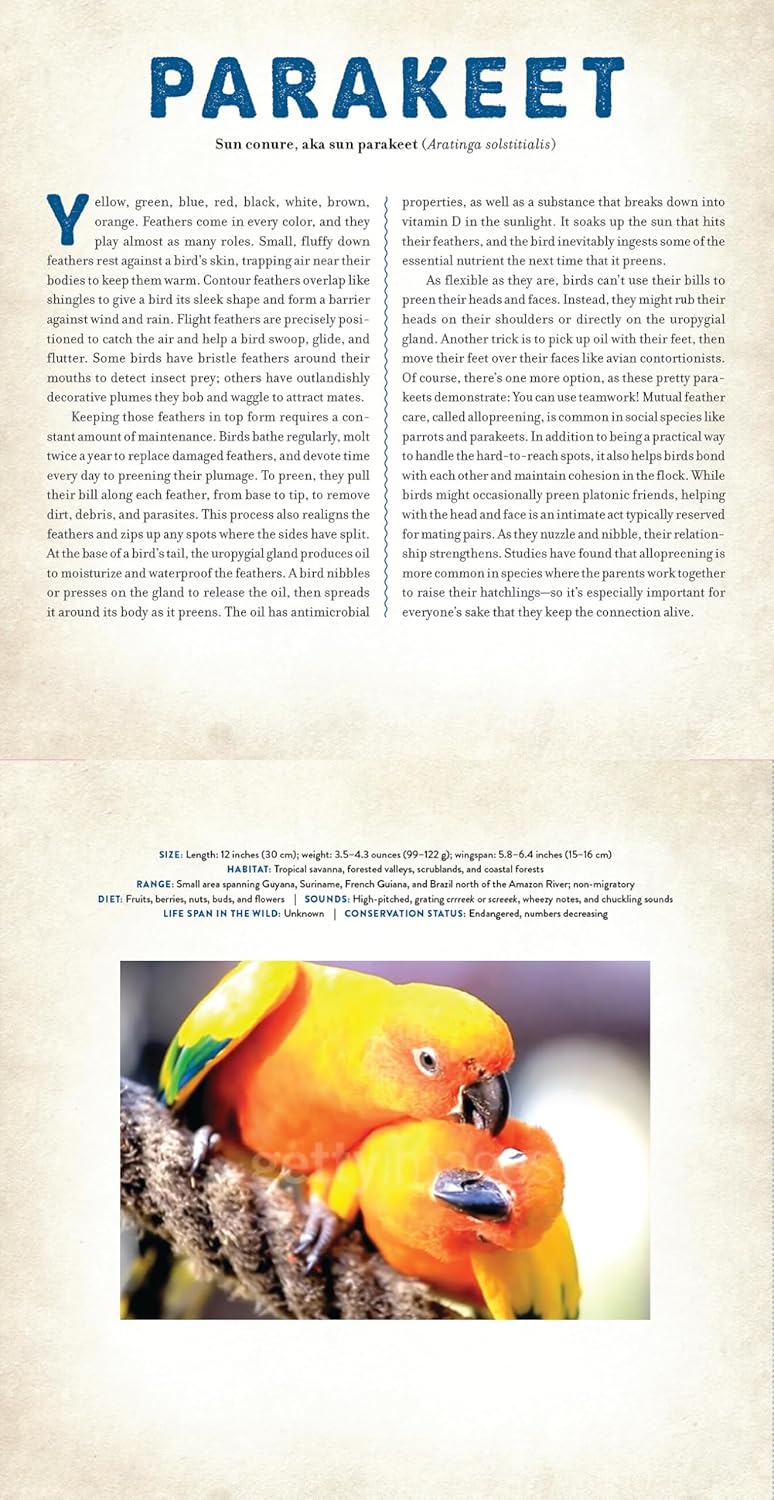 Birds - Photicular Book - Just Fabulous Palm Springs