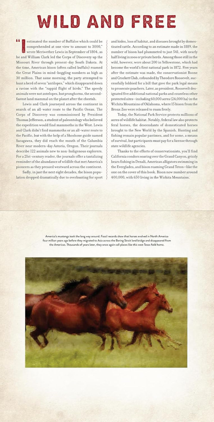 America - Photicular Book