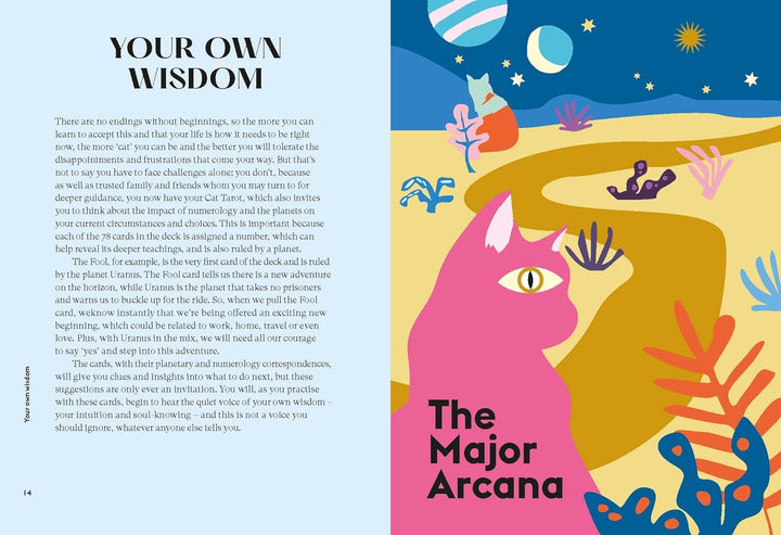 Wise Cat Tarot Cards