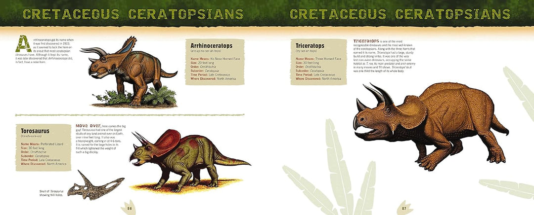 Discovering Dinosaur