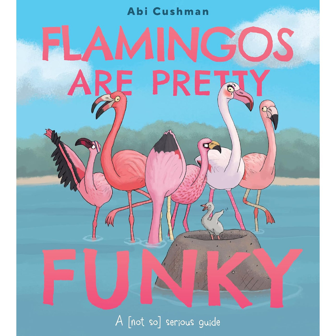 Flamingos Are Pretty Funky