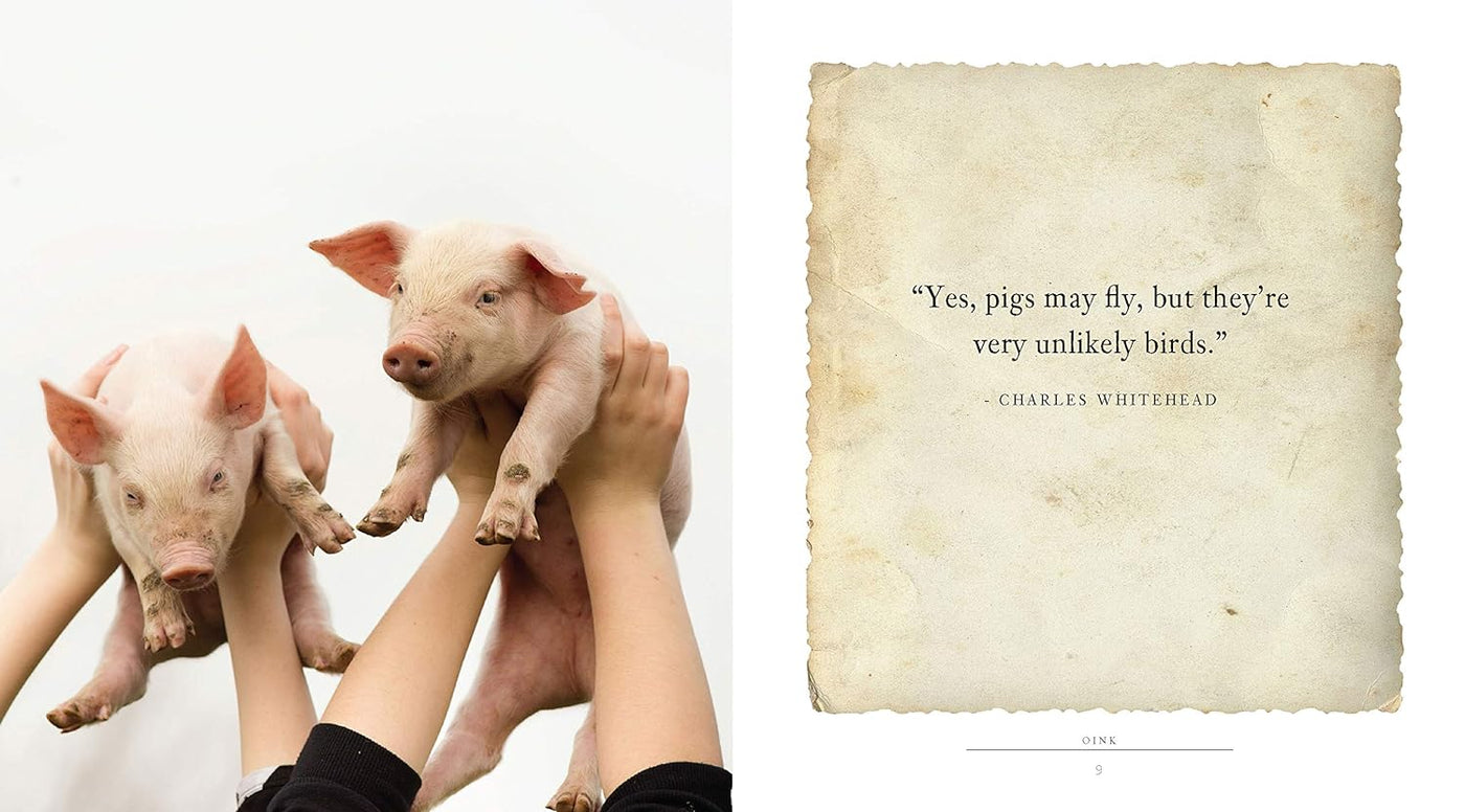 Oink: A Book Of Fun For Pig Lovers