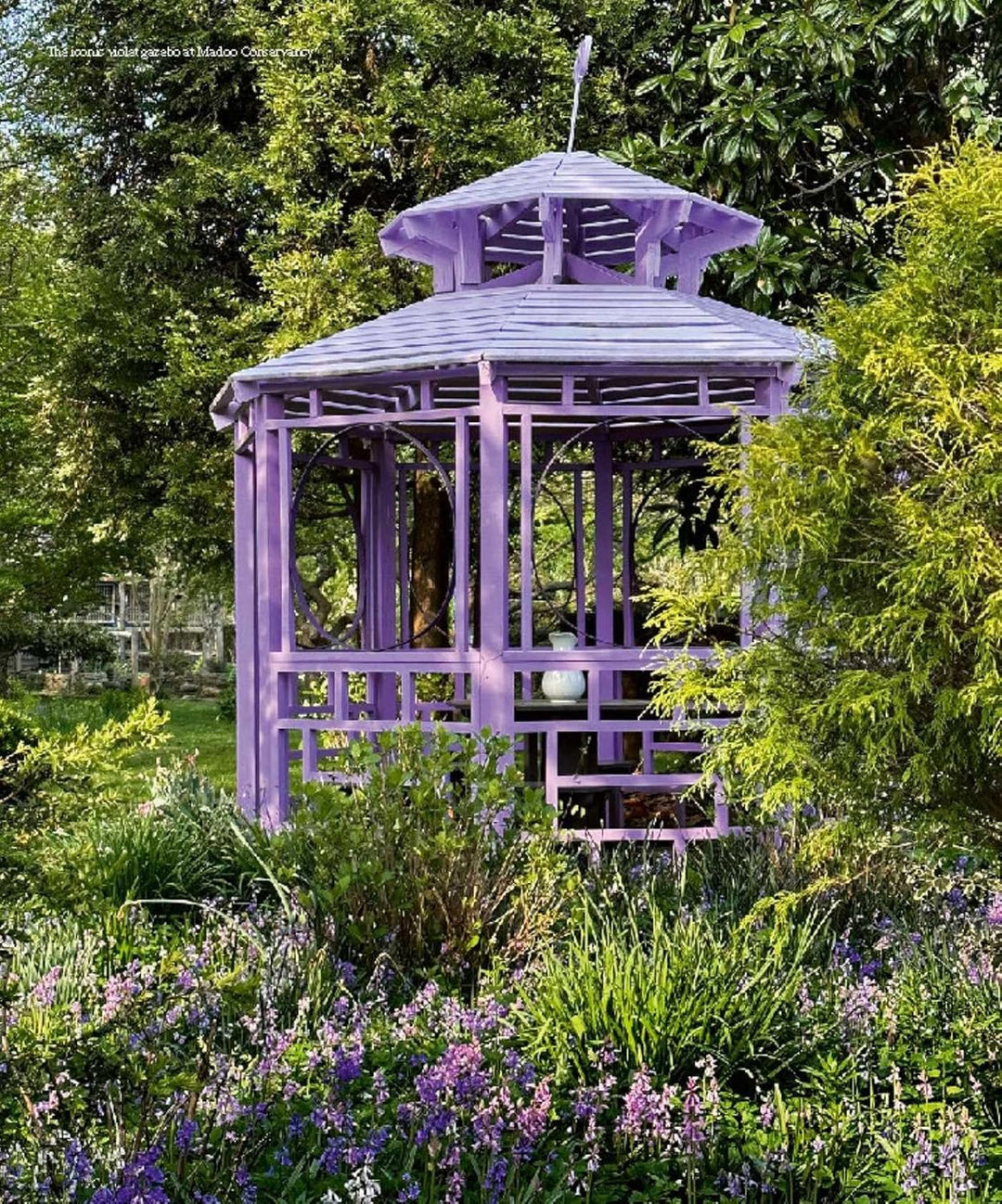 The Gardens Of The Hamptons: Grand Estates, Village Jewels, And Public Sanctuaries