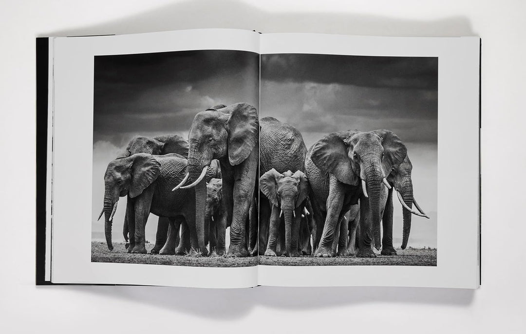 David Yarrow: The Collection