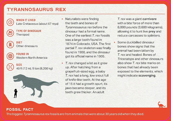 The Dinosaur Deck: 52 Of The Most Fascinating Dinosaurs And Prehistoric Reptiles