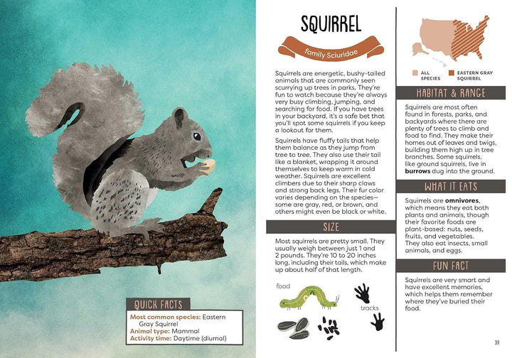 A Kid's Guide To Backyard Animals