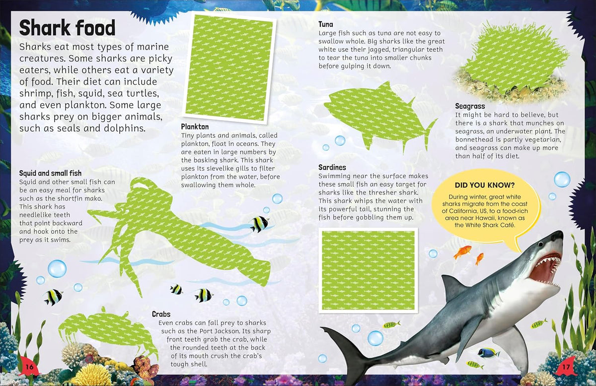 Sticker Encyclopedia: Sharks - Just Fabulous Palm Springs