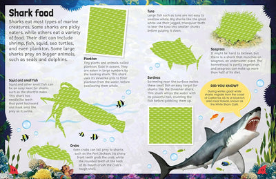 Sticker Encyclopedia: Sharks