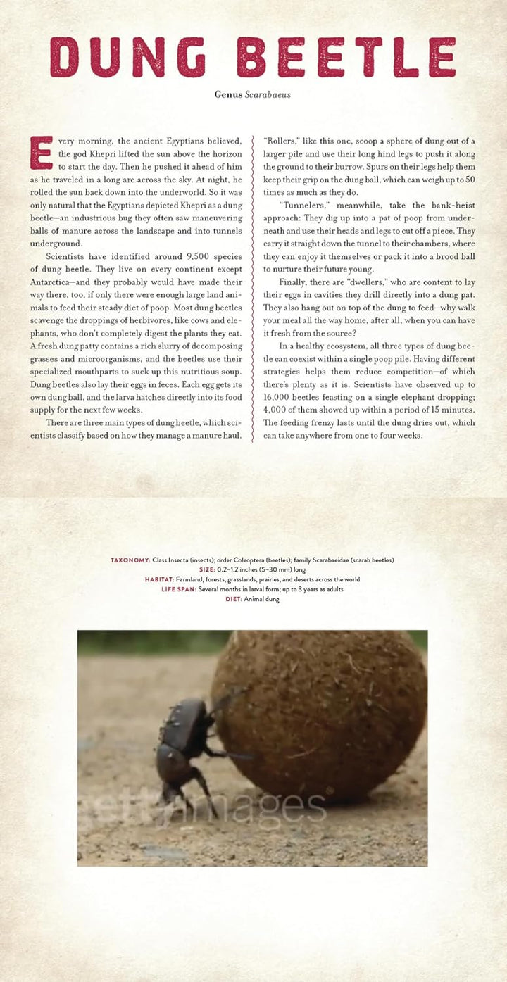 Bugs - Photicular Book