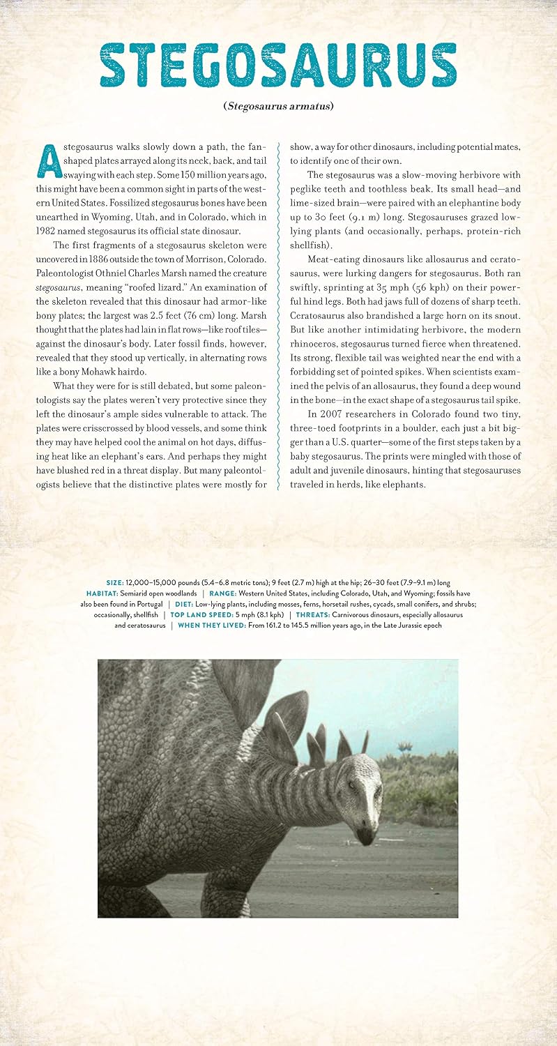 Dinosaur - Photicular Book
