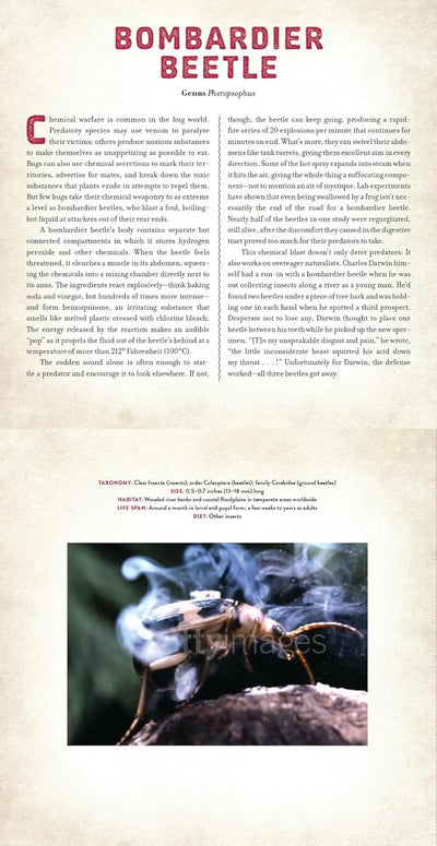 Bugs - Photicular Book