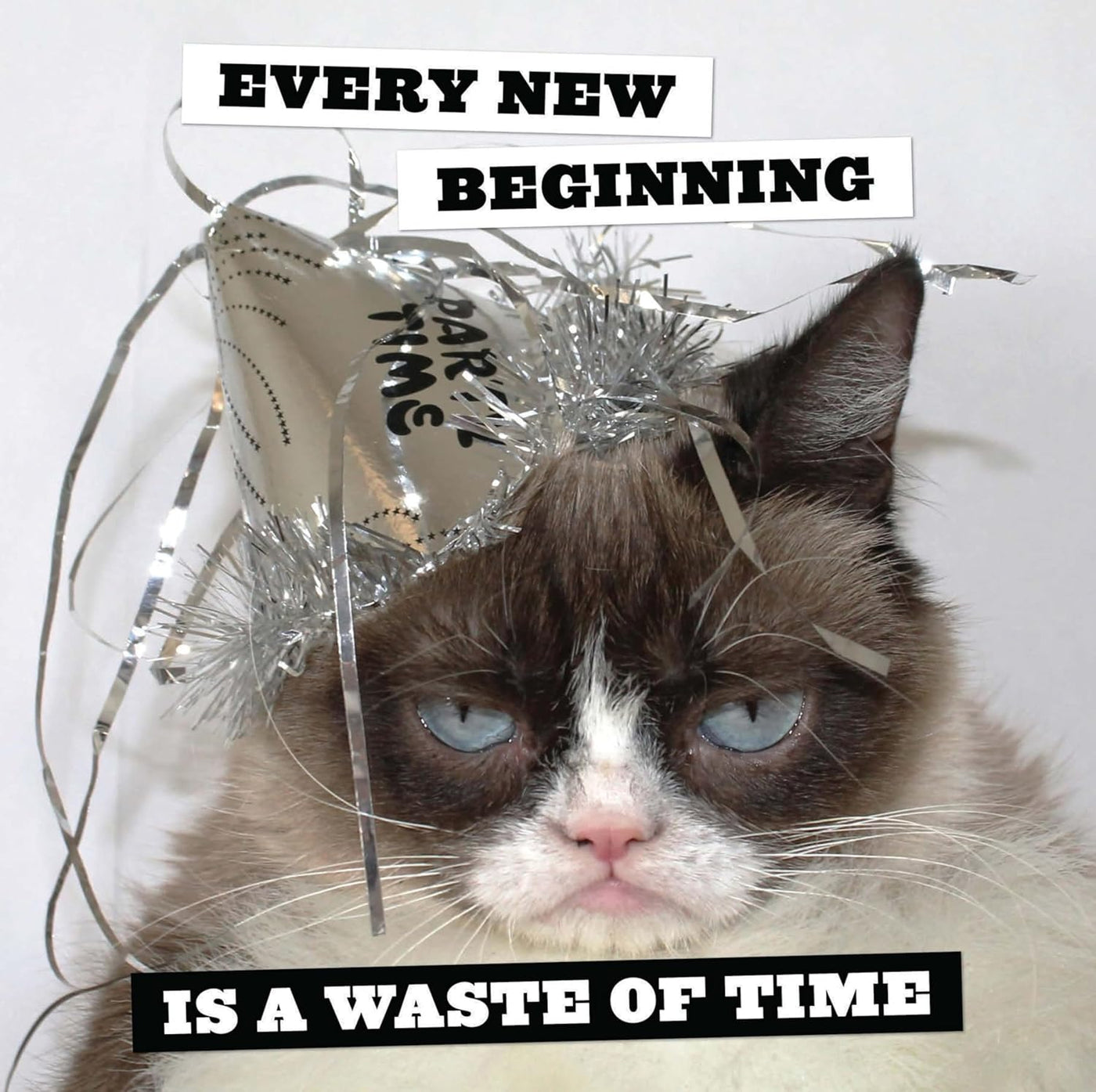 Grumpy Cat 2025 Wall Calendar