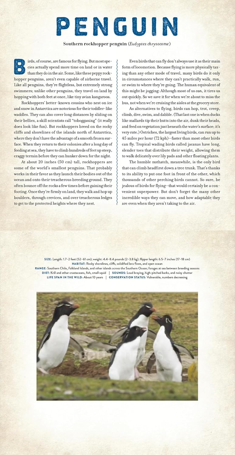 Birds - Photicular Book - Just Fabulous Palm Springs