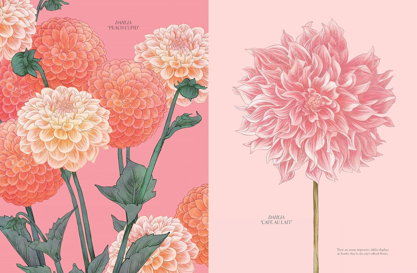 Petal: The World Of Flowers Through An Artist's Eye