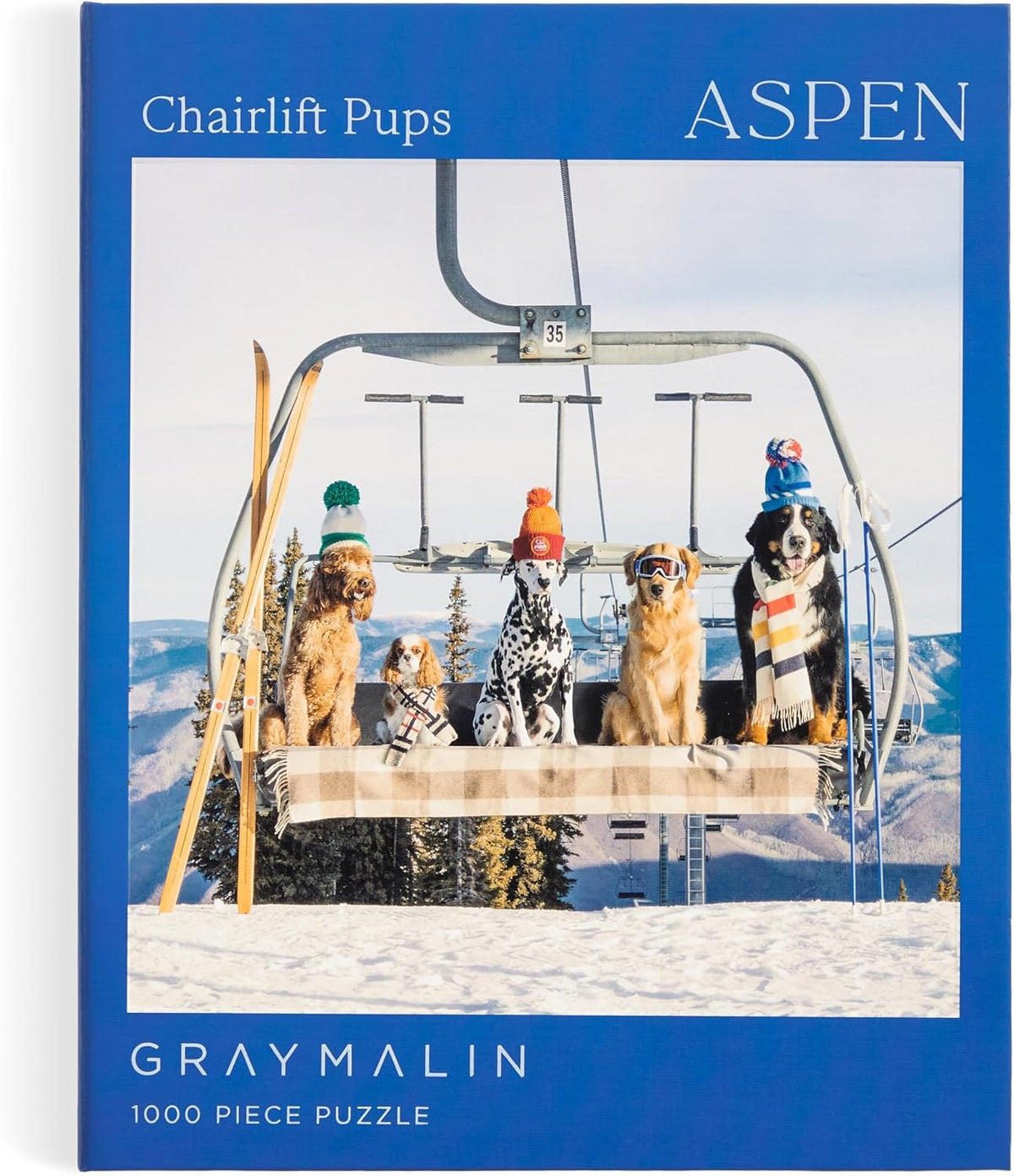Gray Malin Aspen 1000 Piece Puzzle
