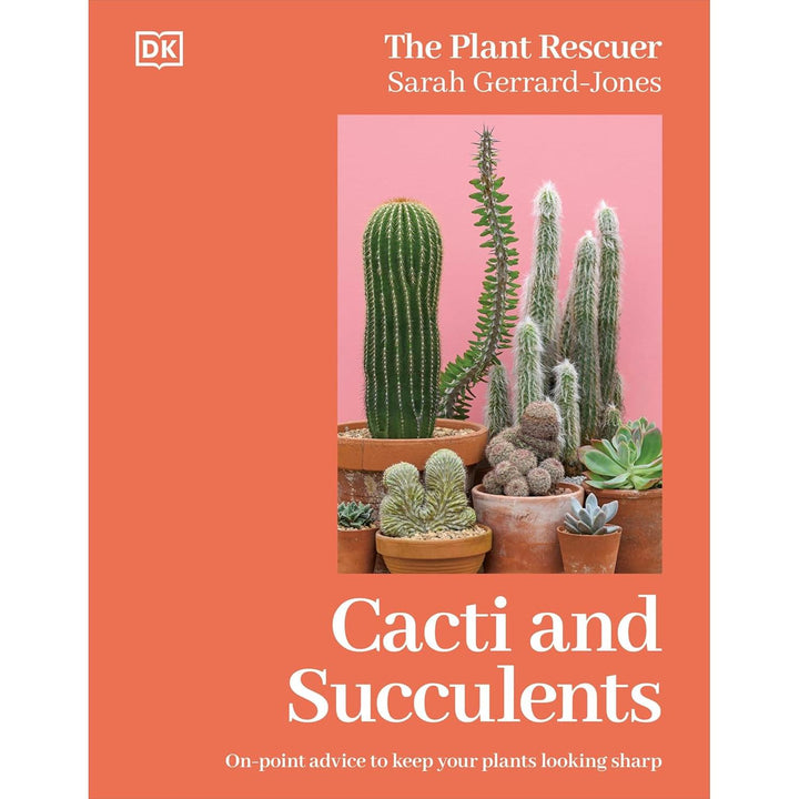 Cacti And Succulents: On-point Advice To Keep Your Plants Looking Sharp