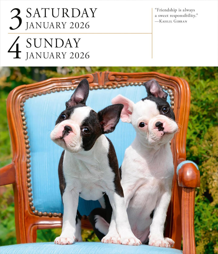 Page-A-Day Gallery Calendar 2026: Dogs