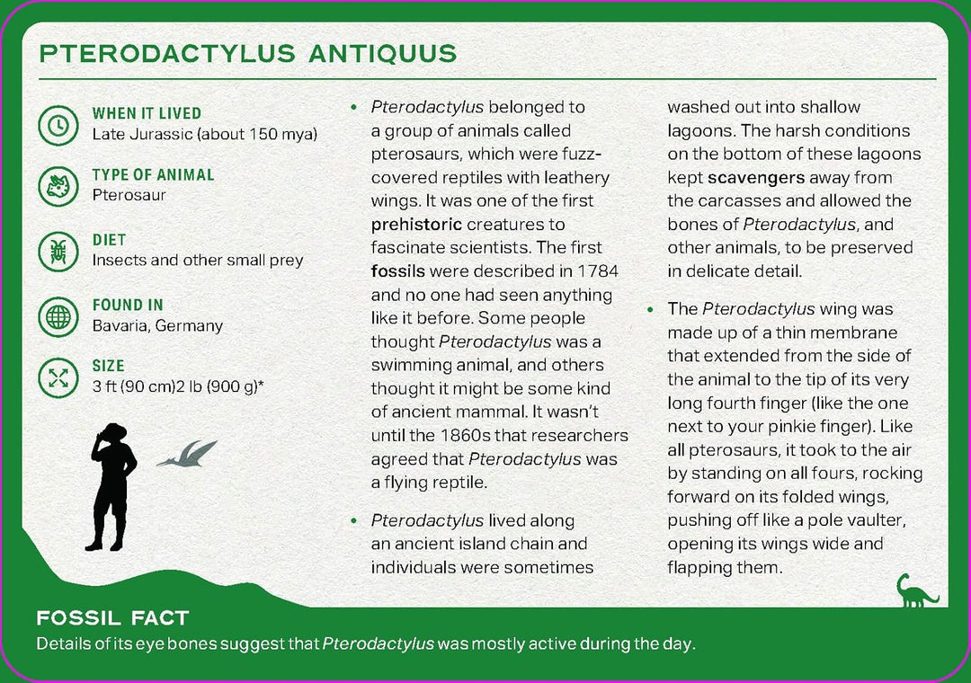 The Dinosaur Deck: 52 Of The Most Fascinating Dinosaurs And Prehistoric Reptiles