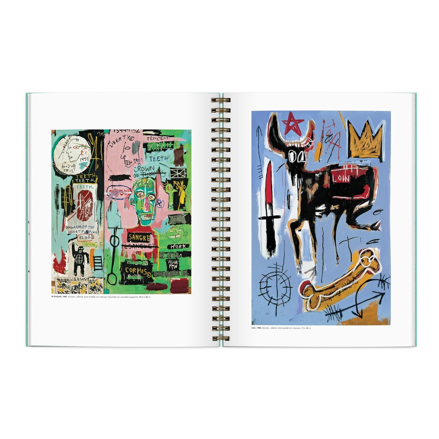 Basquiat Inspirational Sketchbook