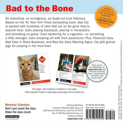 Bad Cat Page-A-Day Calendar 2025