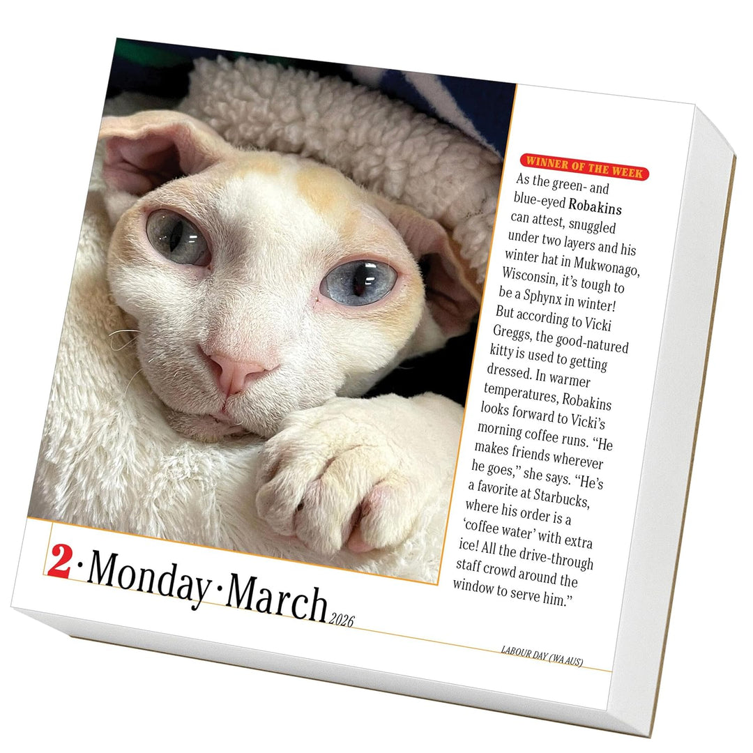Page-A-Day Calendar 2026: 365 Cats