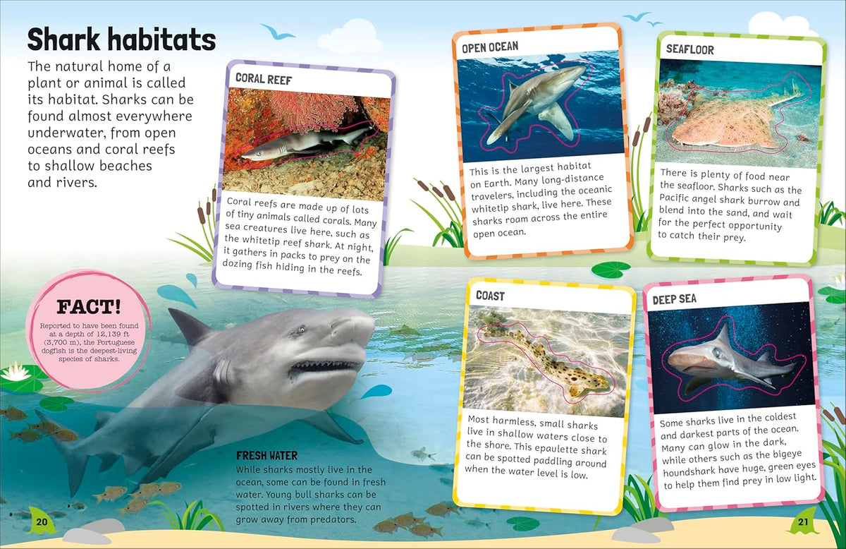 Sticker Encyclopedia: Sharks - Just Fabulous Palm Springs